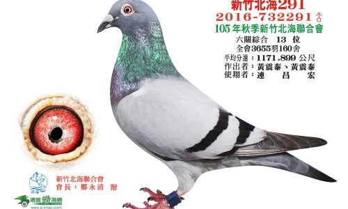 鹿鞭糖的功效和作用是什么-鹿鞭牡蛎膏的功效与作用专区_鹿鞭片的作用与功效专区_鹿鞭牡蛎肽功效与作用网