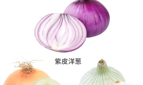 鹿鞭牡蛎膏的功效与作用专区_鹿鞭片的作用与功效专区_鹿鞭牡蛎肽功效与作用网